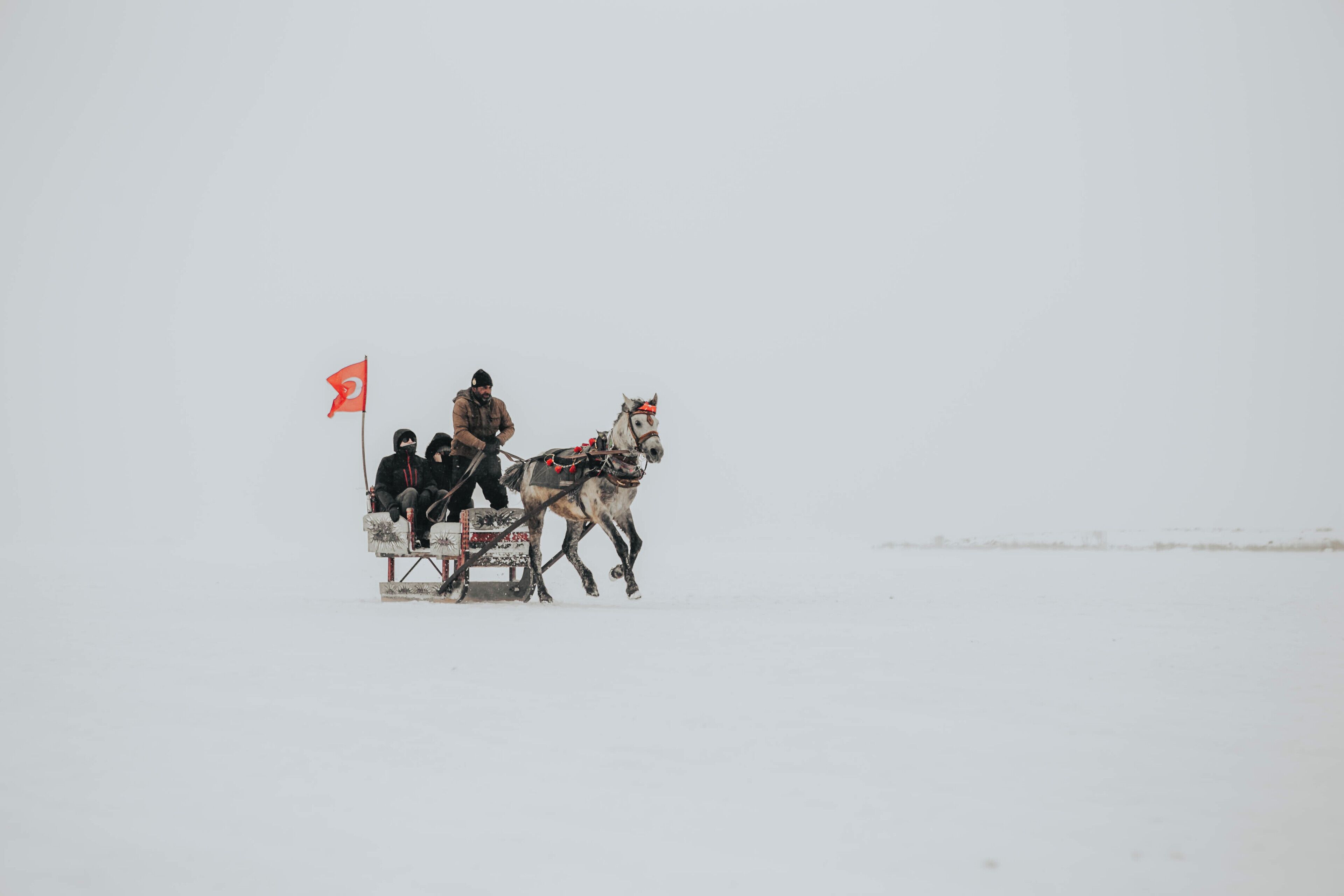 A horse-drawn sleigh with passengers in a snowy landscape.