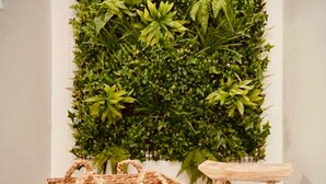 A room with a vertical garden wall, a wicker basket, and a wooden stool. - Casa Mama Carina A (Agüimes)