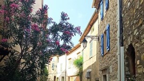 A narrow street with stone buildings, potted plants, and a clear sky.