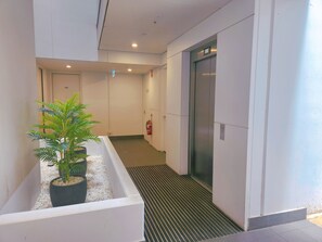 Interior - TAO - SURFLEN NO.2 (Adelaide)