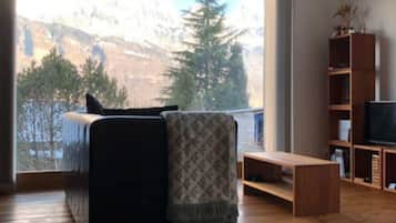 Fernseher