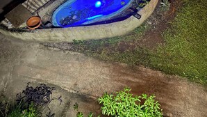 A hot tub with blue lighting, surrounded by a concrete edge, near a thatched structure. - Diamondview (Soufrière)