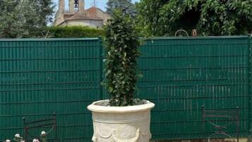 Een grote witte plantenbak met een hoge, slanke plant, twee metalen stoelen en een groene hekken met een kerk op de achtergrond.