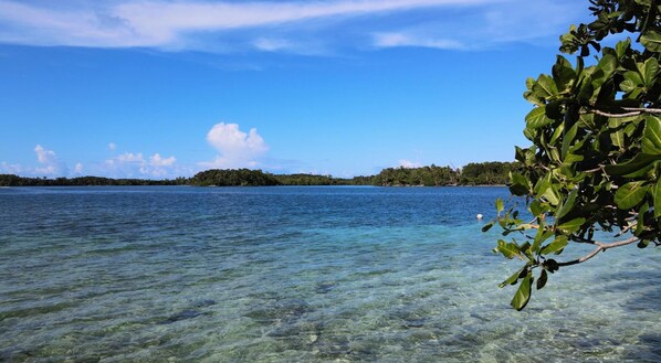 House | Property grounds