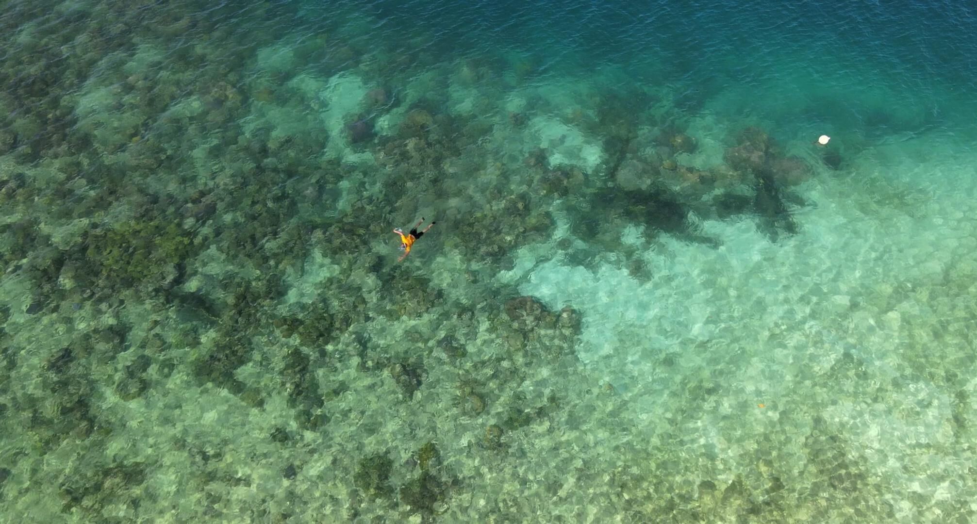 Hus | 1 sovrum och sängkläder