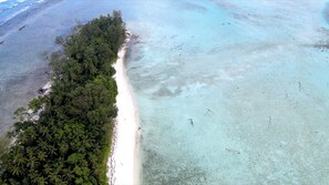 An aerial view of a beach with a dense forest on one side and a sandy shore on the other.