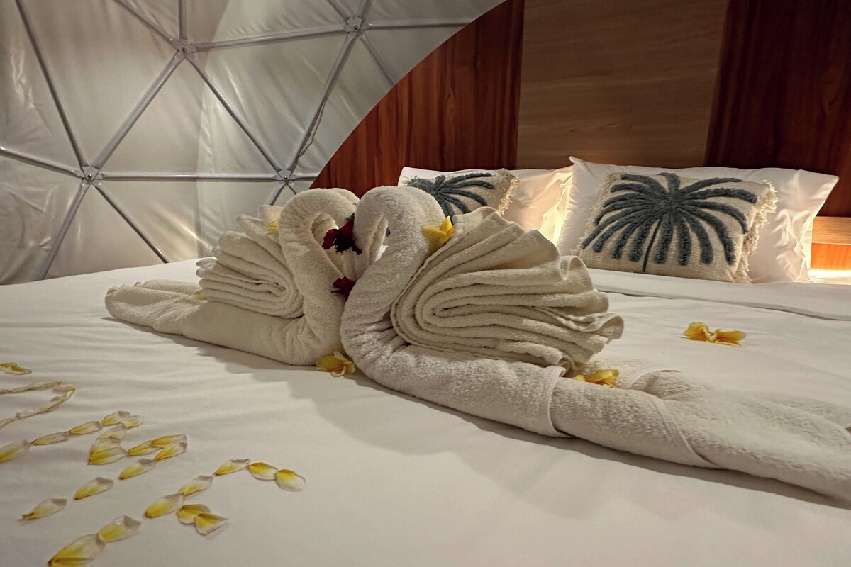 A neatly made bed with a swan towel arrangement and scattered flower petals.