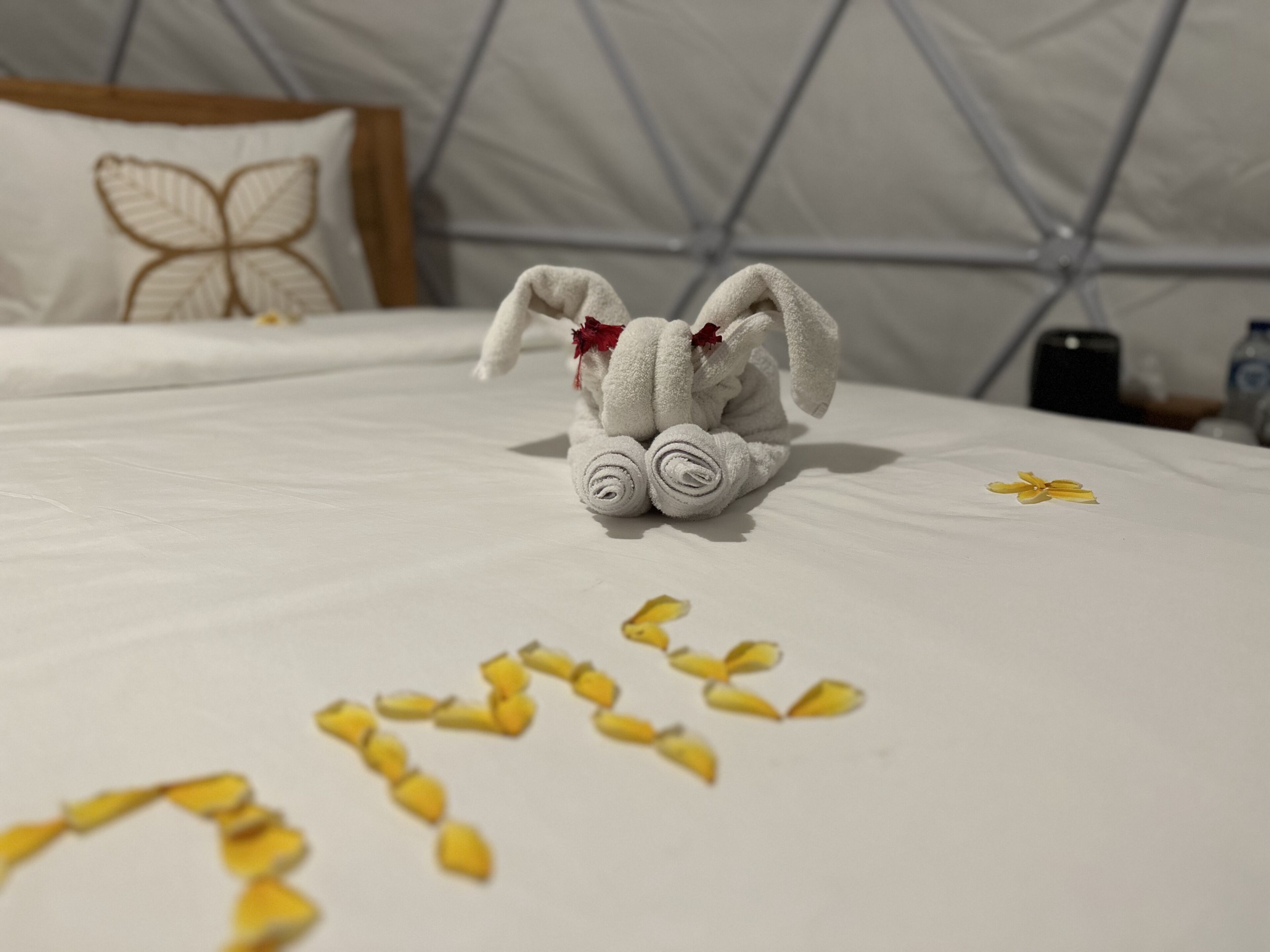 A bed with a white blanket, a plush toy, and yellow flower petals.