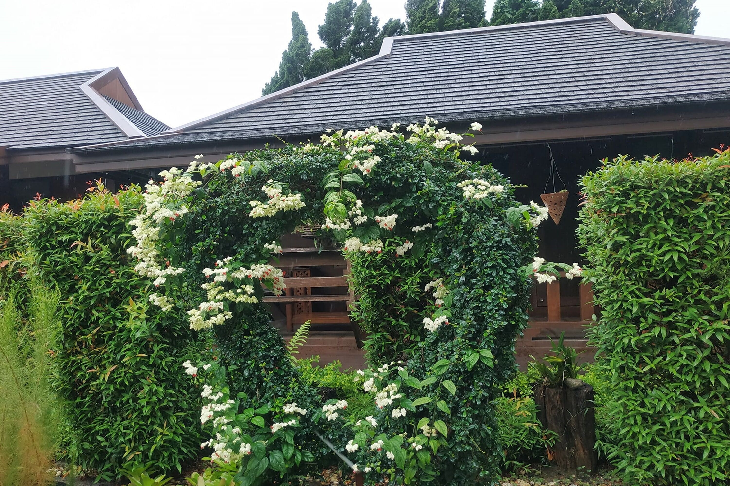 Front of property