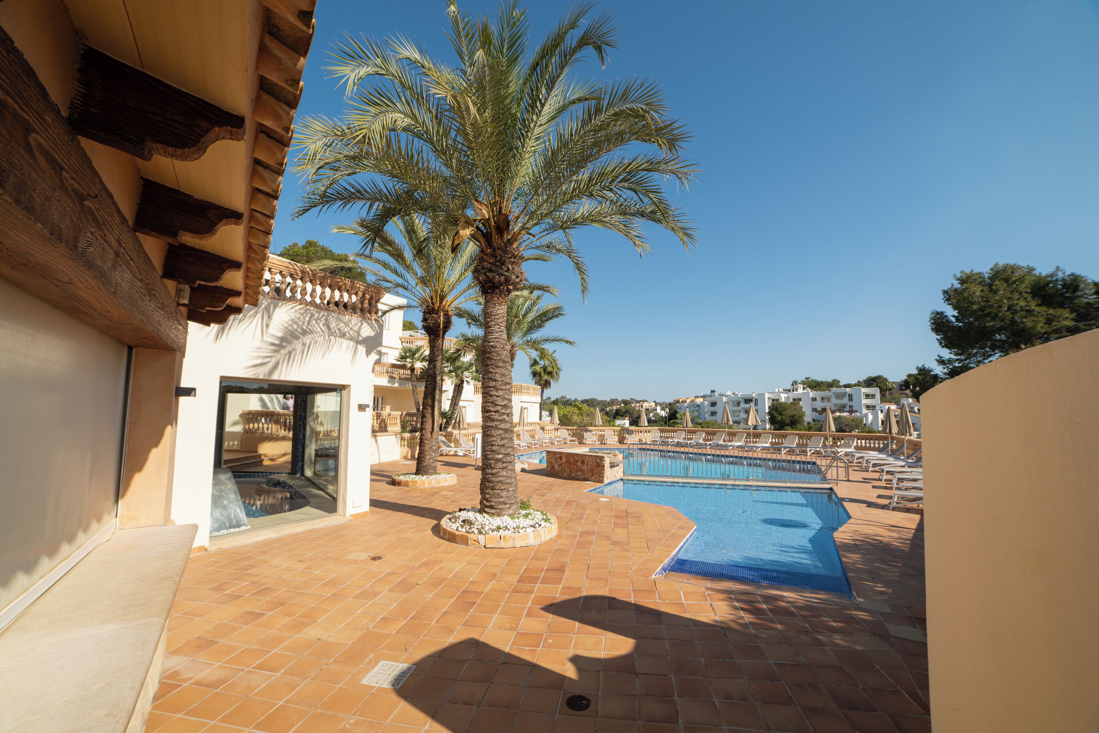 A rooftop pool area with palm trees, a swimming pool, and a building with a tiled roof and balcony.
