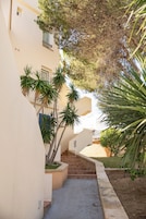 Servicio de la propiedad