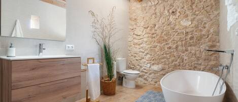 Douche, séchoir à cheveux, serviettes fournies