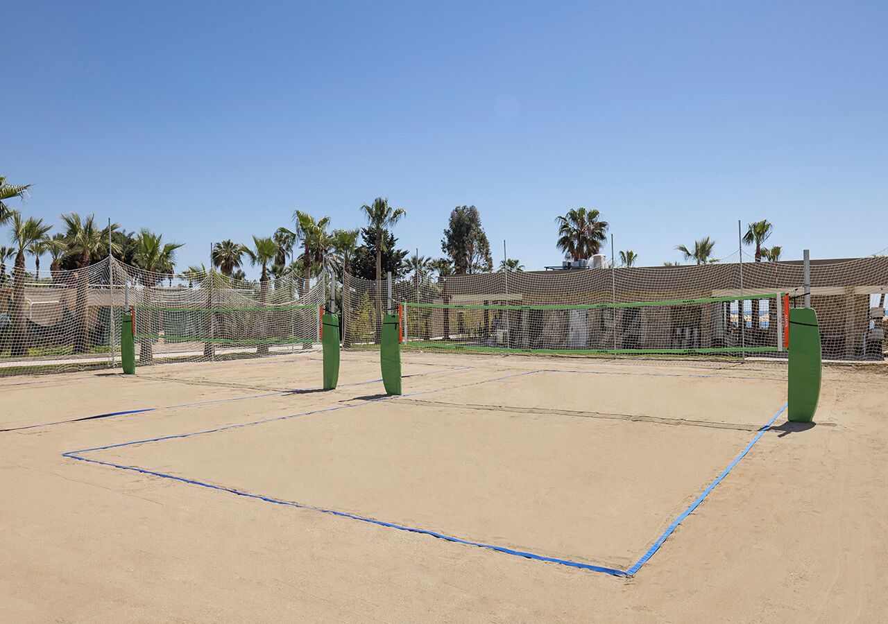 An outdoor tennis court with a net, green posts, and palm trees in the background.