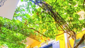 واجهة المنشأة