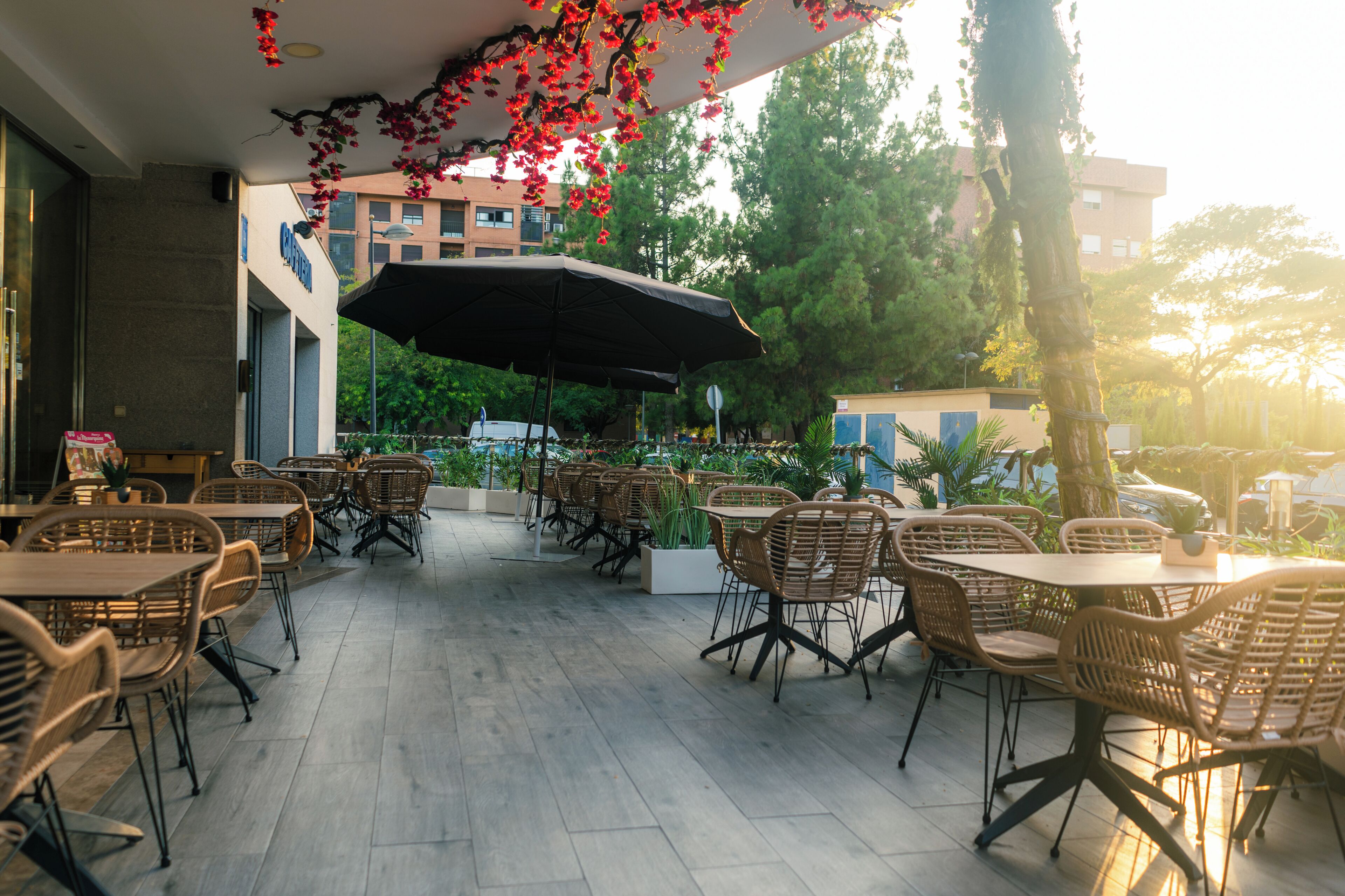 Terraza o patio