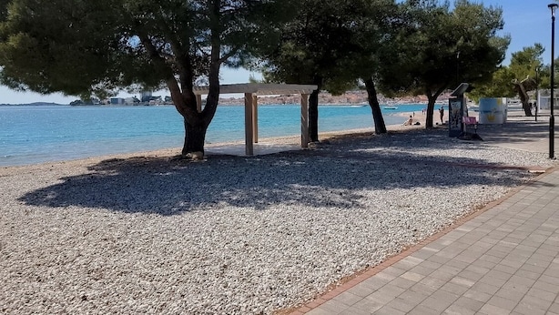 A pebbled beach area with trees and a clear view of the sea.