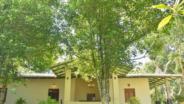 Um edifício com varanda coberta, balcão de recepção e plantas em vasos.