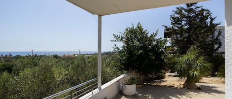House | Property grounds
