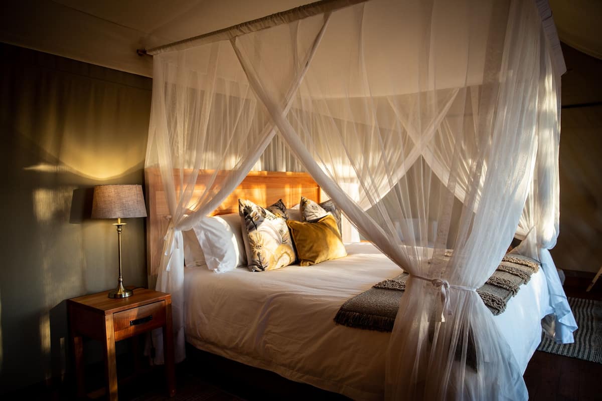 A bed with a canopy, pillows, a bedside table with a lamp, and a wooden headboard.