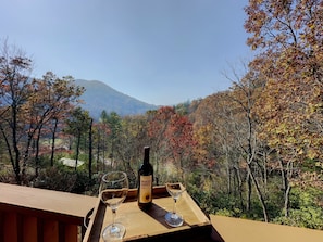 Property grounds - Family Friendly cabin with Mountain views (Hiawassee)