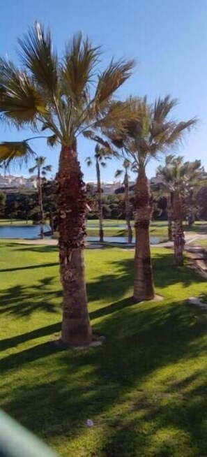 Property grounds - Appartement de Luxe Face au Golf (Ciudad Quesada)