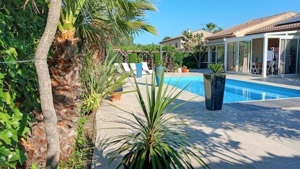 A swimming pool with lounge chairs, surrounded by palm trees and potted plants.