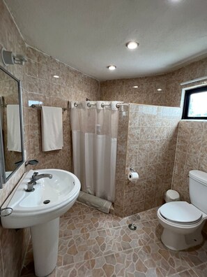 Dusche, Haartrockner, Bidet, Handtücher