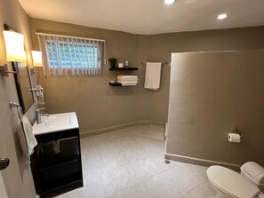 Shower, hair dryer, bidet, towels