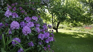 Stroll through a serene garden surrounded by vibrant flowering shrubs and a lush lawn.