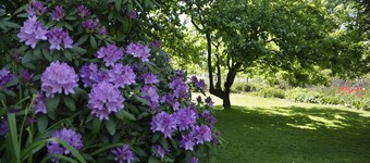 Haus Annerose, Haus Annerose