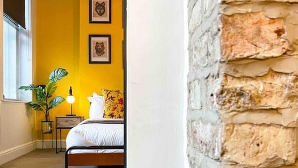 A room with a bed, a nightstand, a lamp, and a plant.