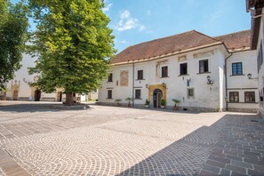 View from property - Vila Radolca Apartments and Rooms (Radovljica)