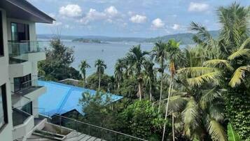 Terrain de l’hébergement