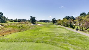 Un campo de golf con un sendero despejado, árboles y una colina distante.