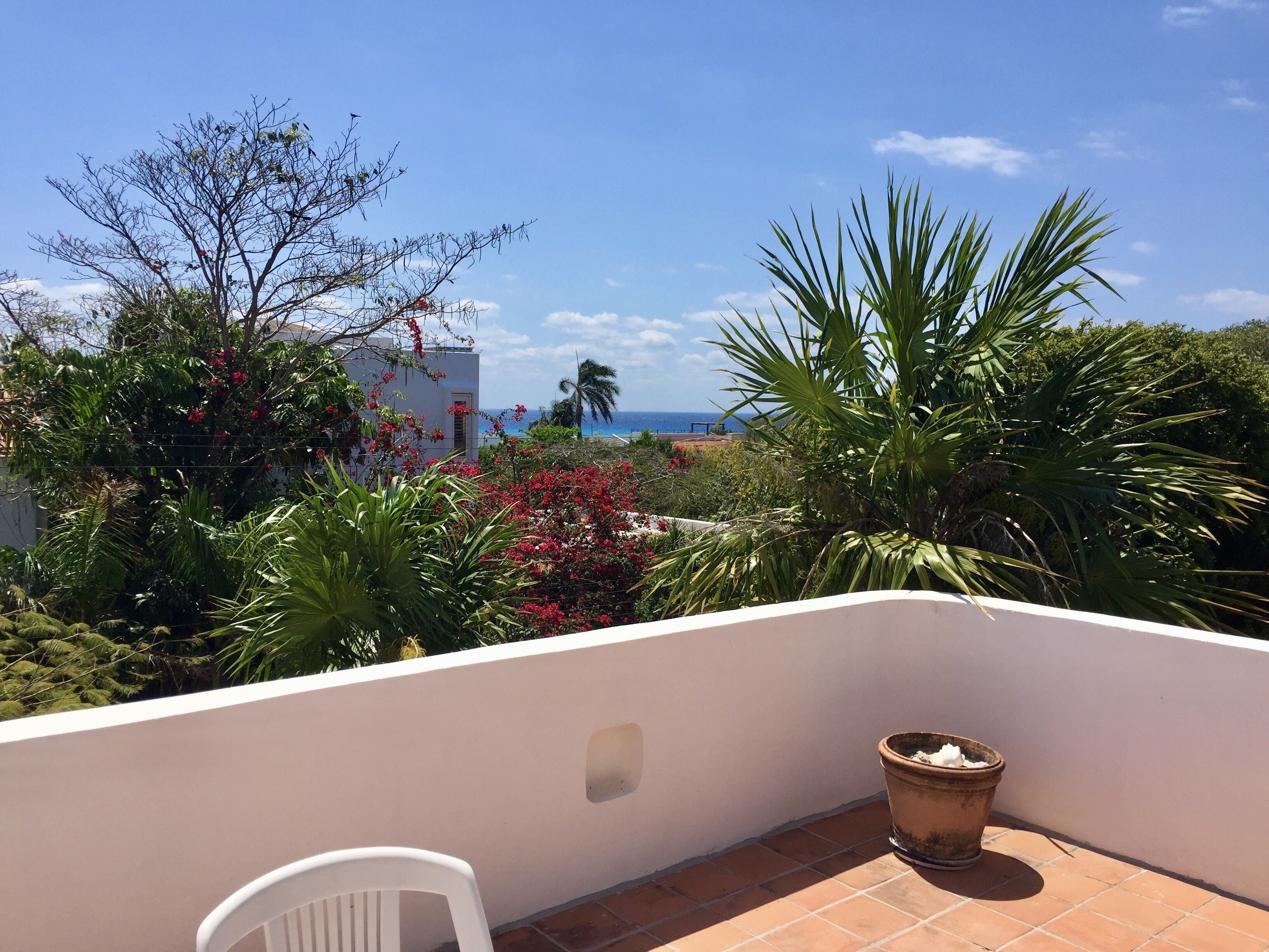 A balcony with a white chair, a potted plant, and a view of the sea and palm trees.