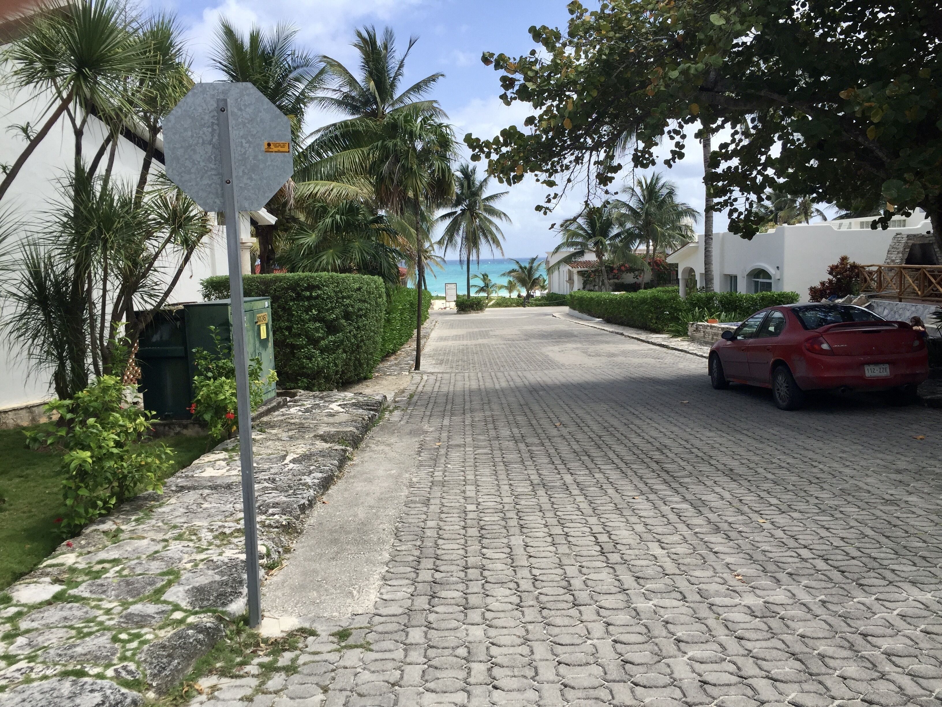 Una calle adoquinada bordeada de palmeras y un coche rojo estacionado al lado.