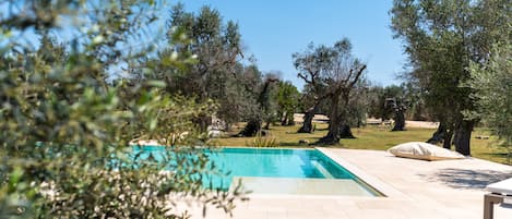 Una piscina con vistas a olivos y un cielo despejado.