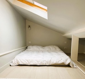 A small, single-bed room with a sloped ceiling and a skylight.