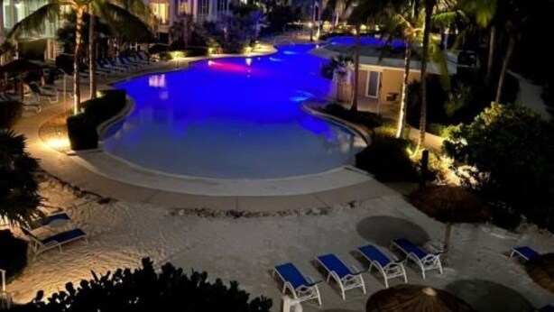 A swimming pool with blue lighting, surrounded by palm trees and lounge chairs.