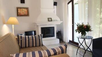 Televisie, een open haard, een dvd-speler en boeken