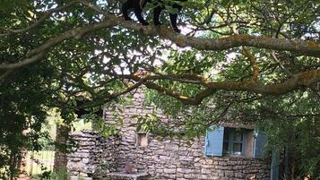 Enceinte de lâhĂ©bergement