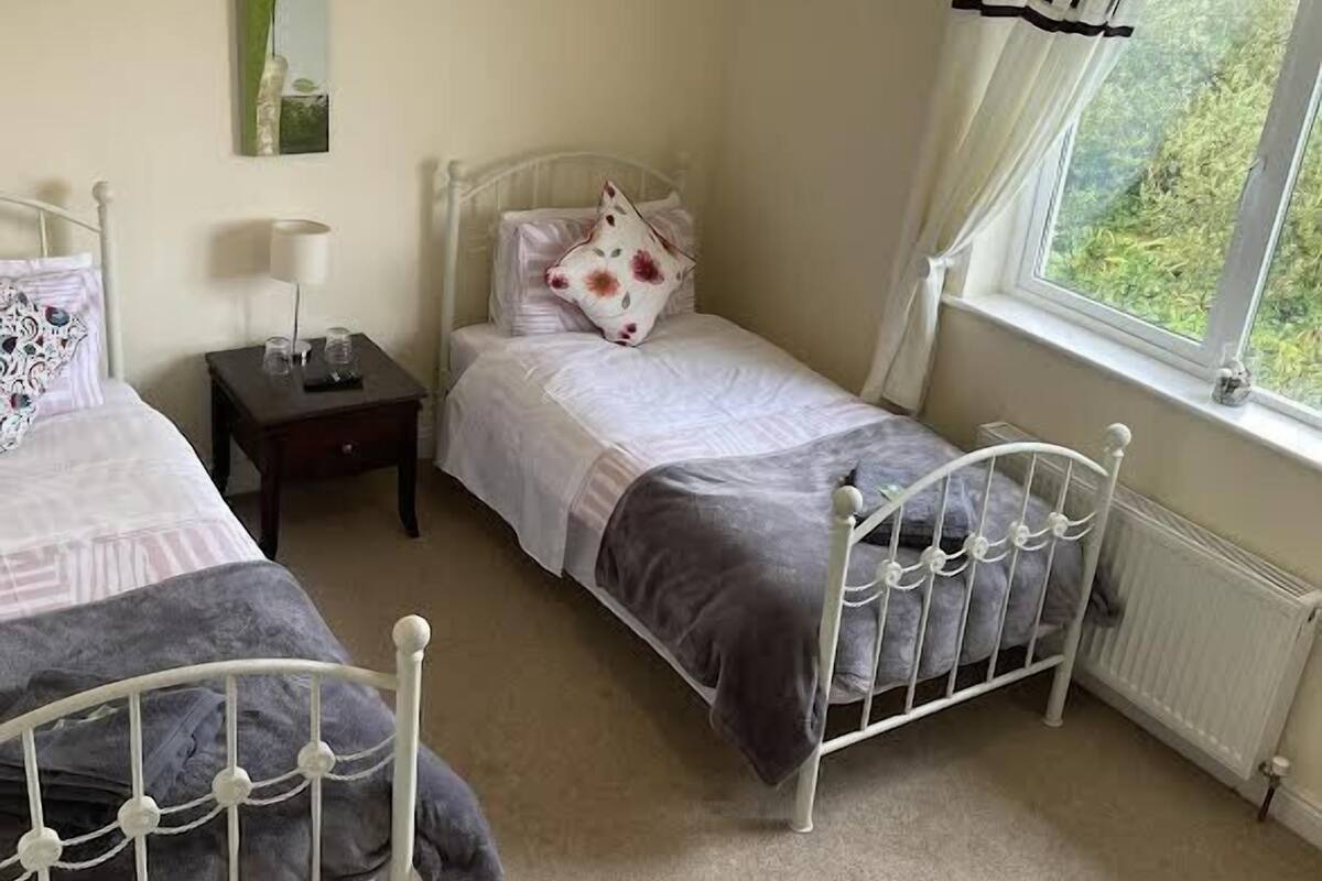 A bedroom with two single beds, a bedside table with a lamp, a window with curtains, and a hanging light fixture.