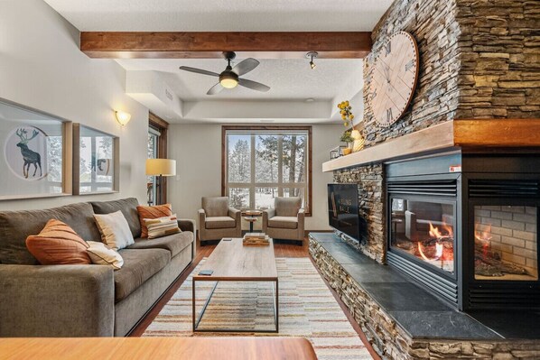 Smart TV, fireplace, books, offices