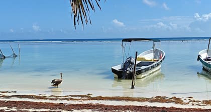 TU DEPARTAMENTO EN MAHAHUAL