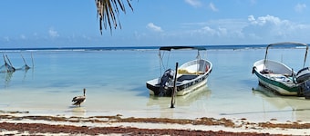 TU DEPARTAMENTO EN MAHAHUAL