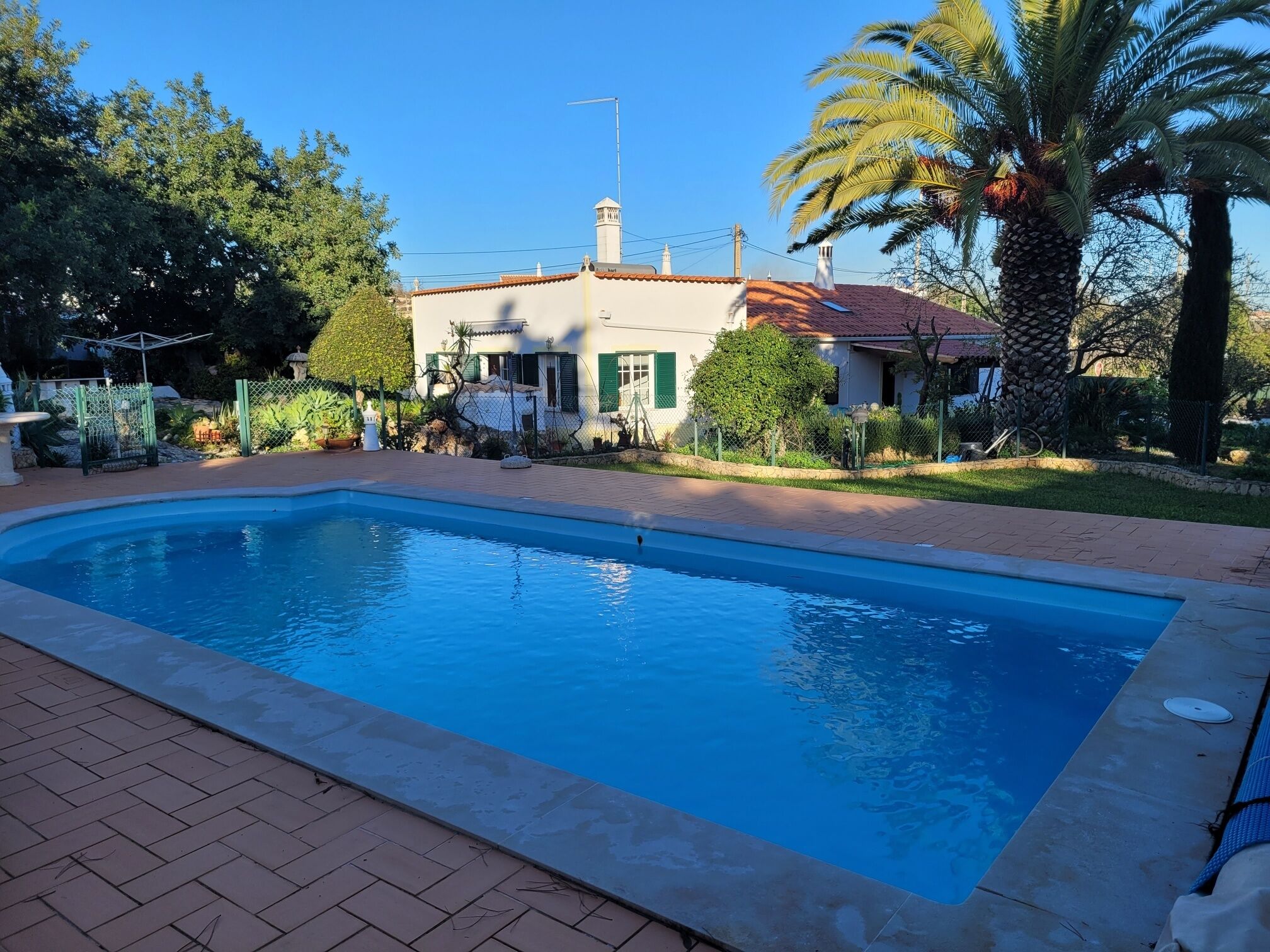 A swimming pool with a tiled deck, surrounded by a fenced garden with palm trees and a house with a red roof.