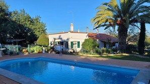 Une piscine dotée d’une terrasse carrelée, entourée d’un jardin clos avec des palmiers et d’une maison au toit rouge.