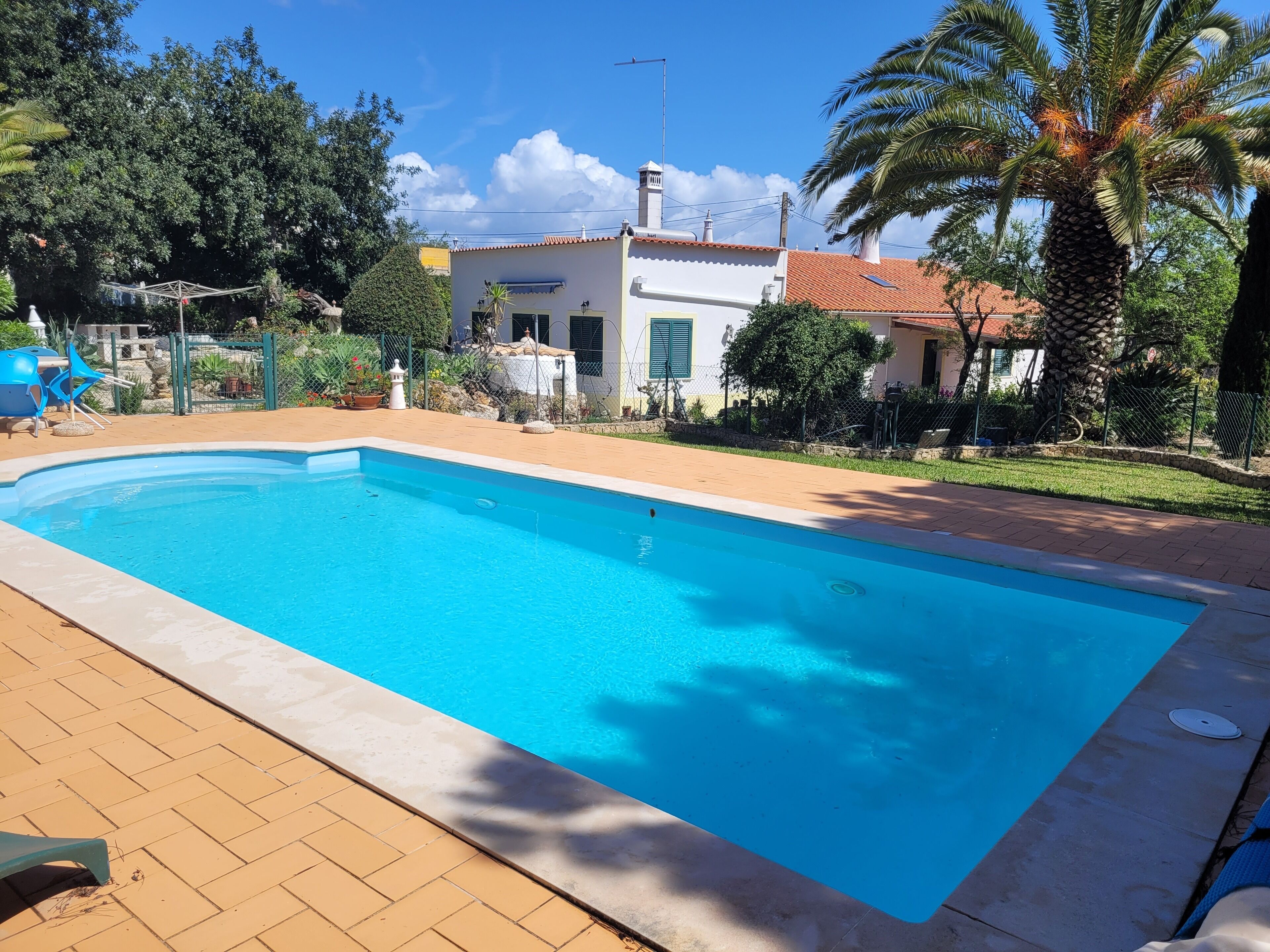 A rectangular swimming pool with a tiled deck, surrounded by a fenced garden with palm trees and a white building with a red roof.