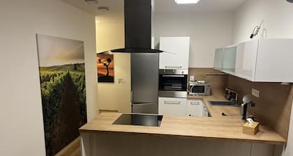 Appartment Mikulov gardens A2 - the view to romantic castle + gardens, NEW HOUSE