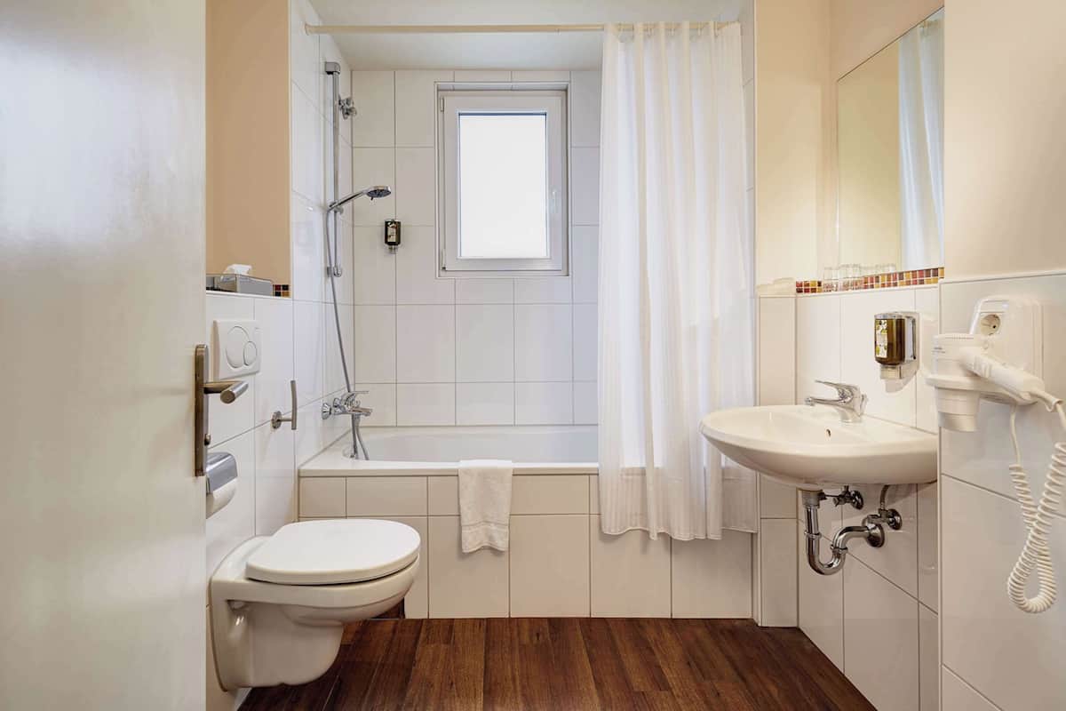 Hair dryer, towels, shampoo, toilet paper